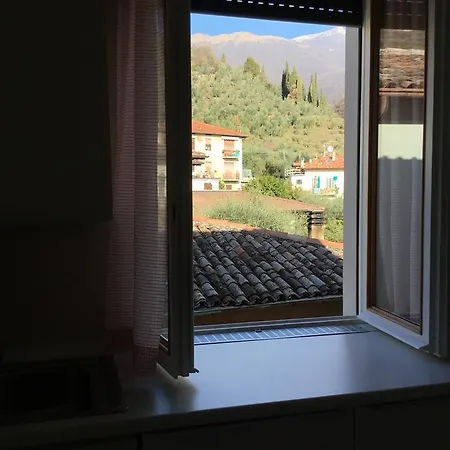 Apartament Casa Life
